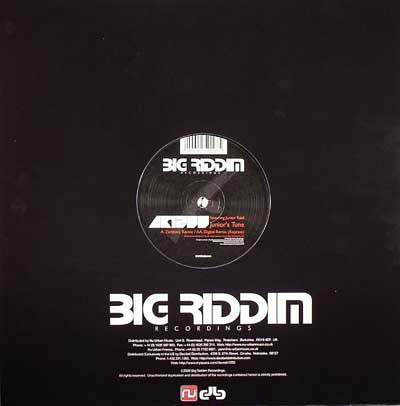 12 Inch